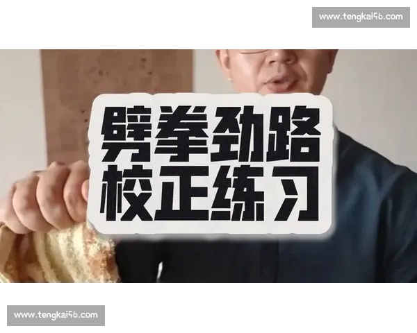 形意拳vs传统武术与现代格斗实战效果全面深度对比解析探讨体系